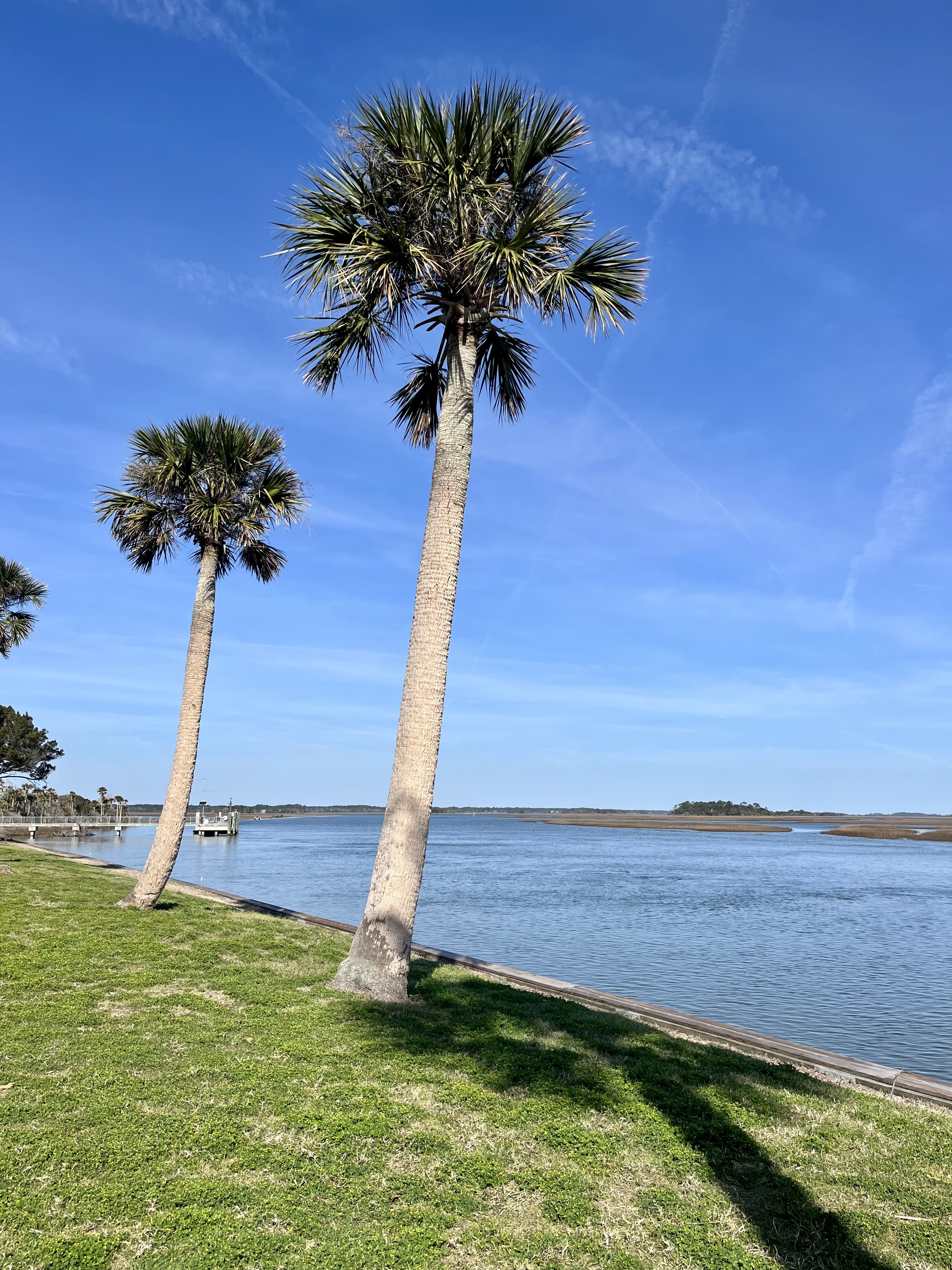 Two palm trees by a serene lake under a clear blue sky.