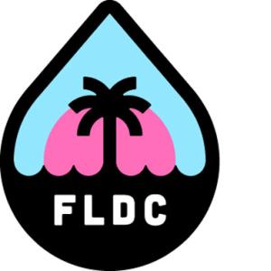 Florida Drupal Camp logo with a palm tree graphic.