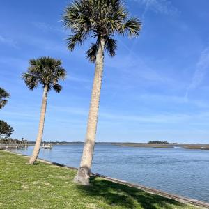 Two palm trees by a serene lake under a clear blue sky.